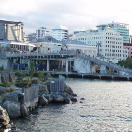 Photo of Wellington, NZ, with bay in foreground and part of cityscape in background